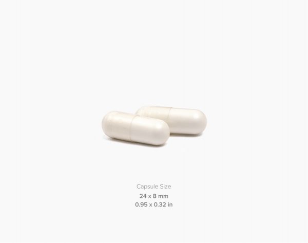 L-Carnitine Caps 750 capsules